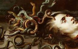 Pieter Paul Rubens, Medusa, dettaglio, 1618